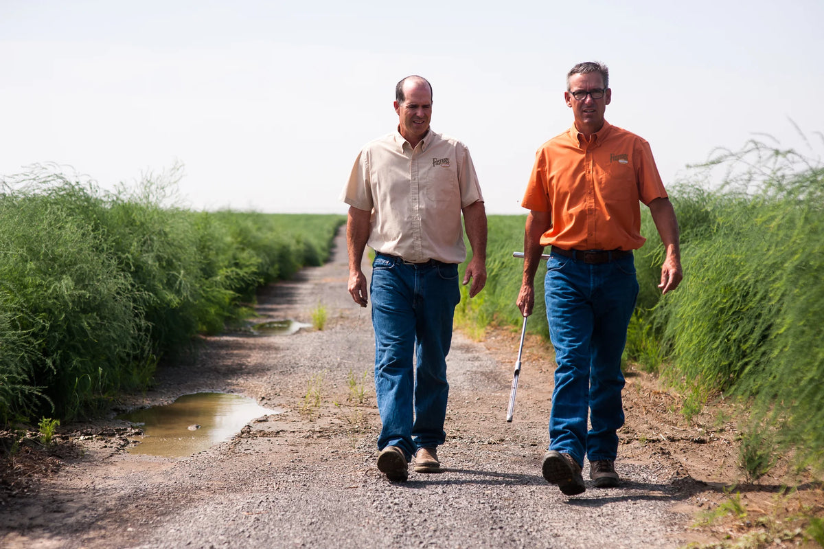 Foster’s team members walking through the farm