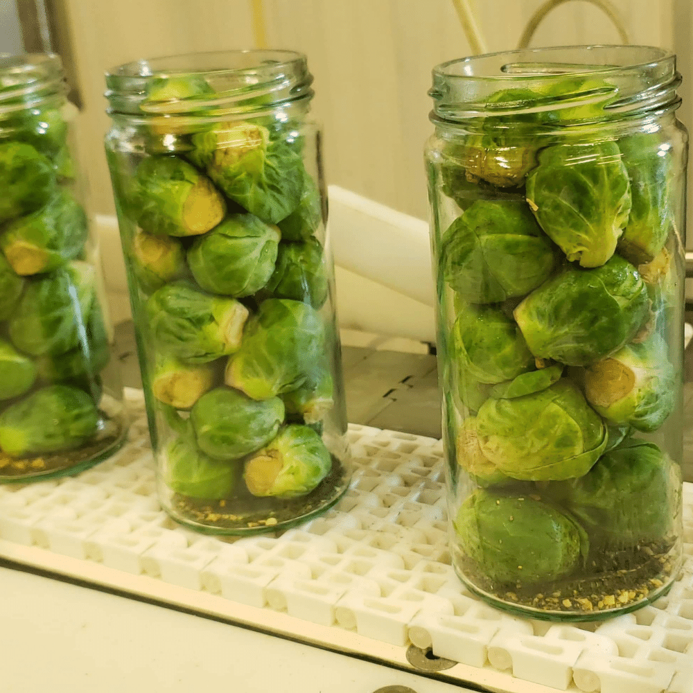 Buy Pickled Brussels Sprouts Original Flavor & Freshness Foster's